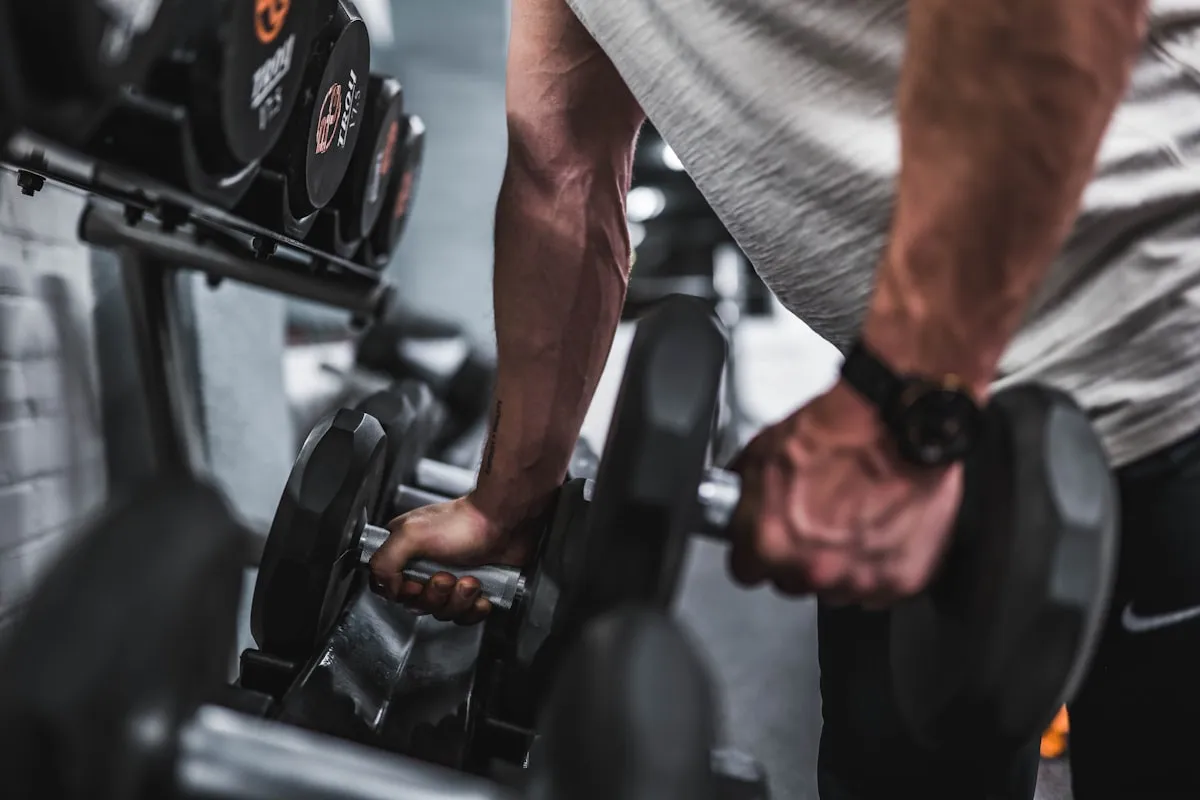 Musculation des bras et biceps