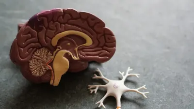 Whey et Reflux Gastrique : Comment Éviter les Brûlures d'Estomac